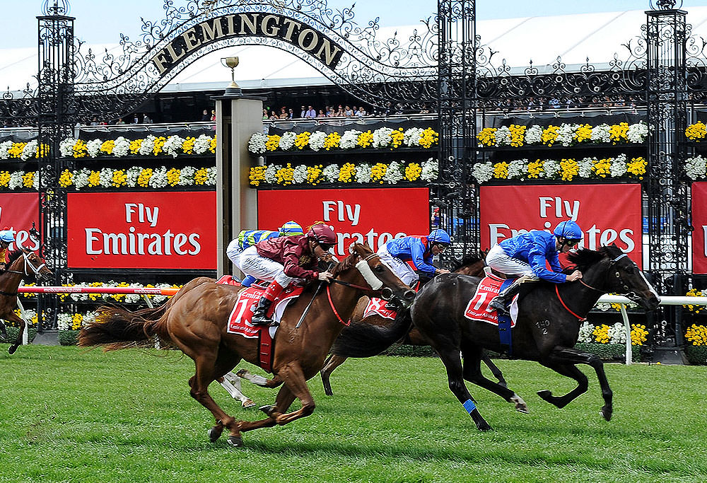 Melbourne Cup Tickets