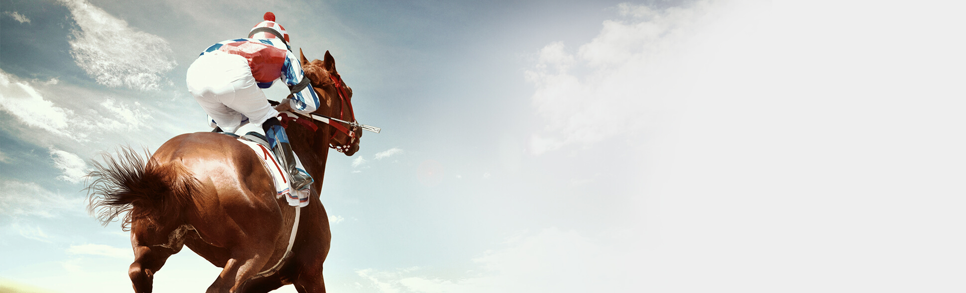 Melbourne Cup Tickets